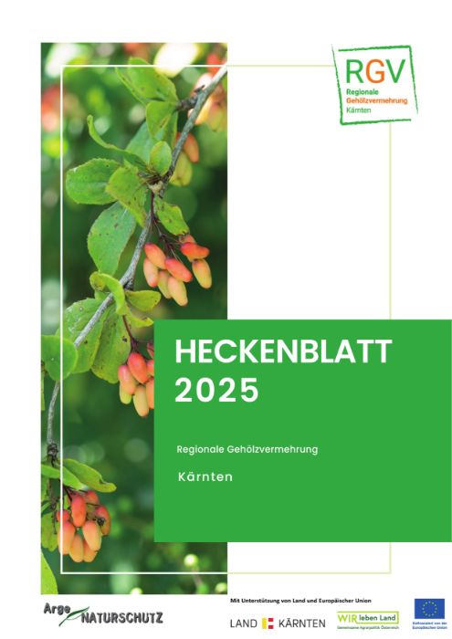 2025_Heckenblatt_Kaernten_aktuell.pdf