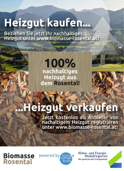 INS_Biomasse-Rosental_89x122_PRINT.pdf