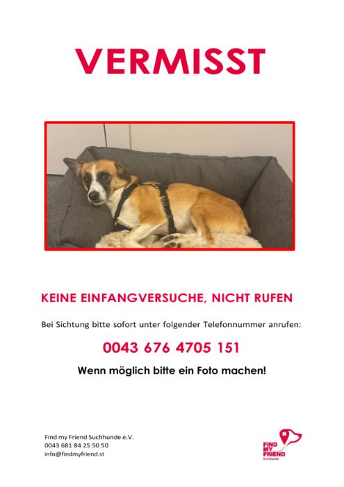 2025_09_03_Hund Luna_2.pdf