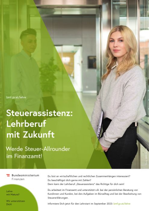 Poster Steuerassistenz (A4-Format).pdf