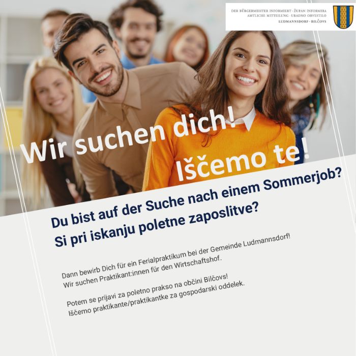 Wir suchen dich.pdf